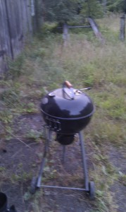 IMAG0351