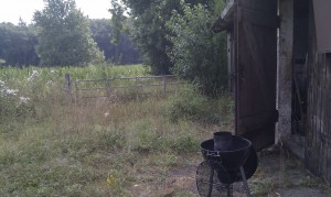 IMAG0382