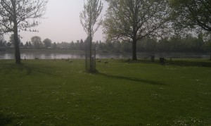 IMAG0572