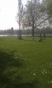 IMAG0580